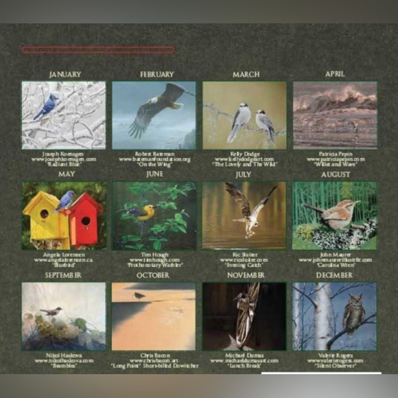 CALENDAR 2024 ART OF NATURE: Pelee Island Observatory Art Of Birds. - Picture 16 of 16